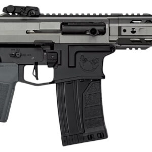 Compact AR-style pistol with magazine and brace