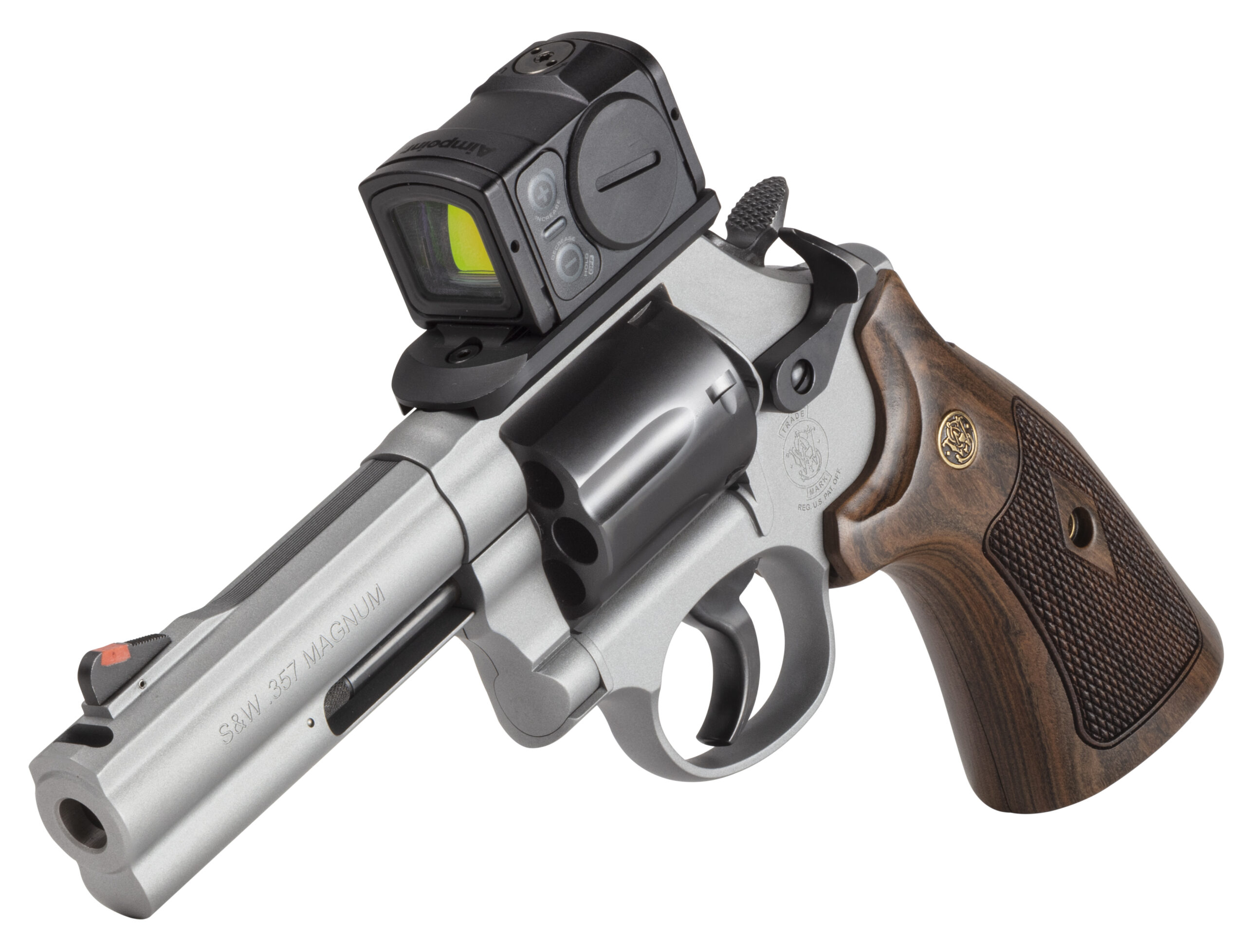 Stainless steel revolver with mounted red dot sight