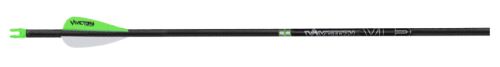Green and black archery arrow on white background
