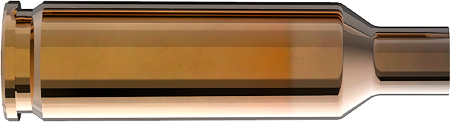 Cross-section of a rifle cartridge bullet