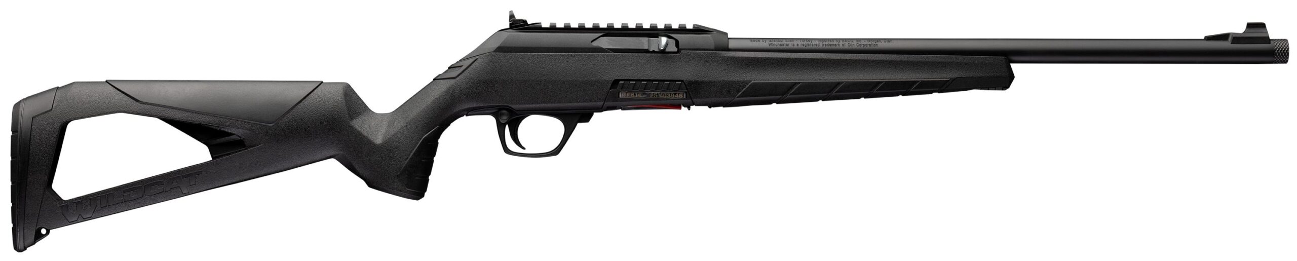 Black modern semi-automatic rifle on white background