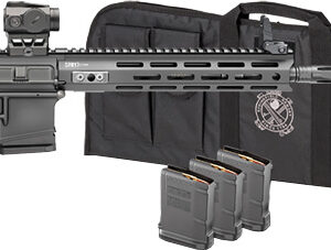AR-style rifle with magazines and carrying case