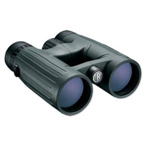 Green binoculars on white background