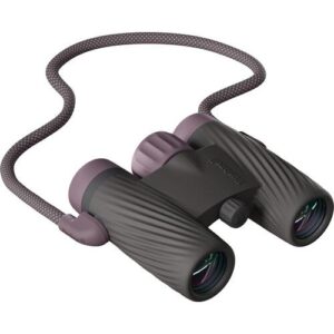 Compact gray binoculars with neck strap