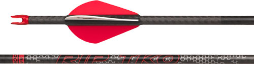 Carbon fiber arrow with red fletching