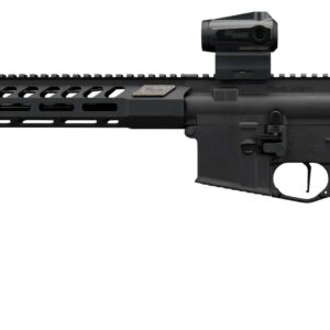 Black AR-15 style rifle with optic sight