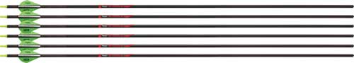 Row of black arrows with green fletching