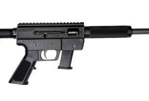 Modern semi-automatic rifle with adjustable stock
