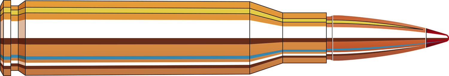 Cross-section diagram of a rifle bullet cartridge