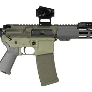 Modern AR-style rifle with optic and flashlight