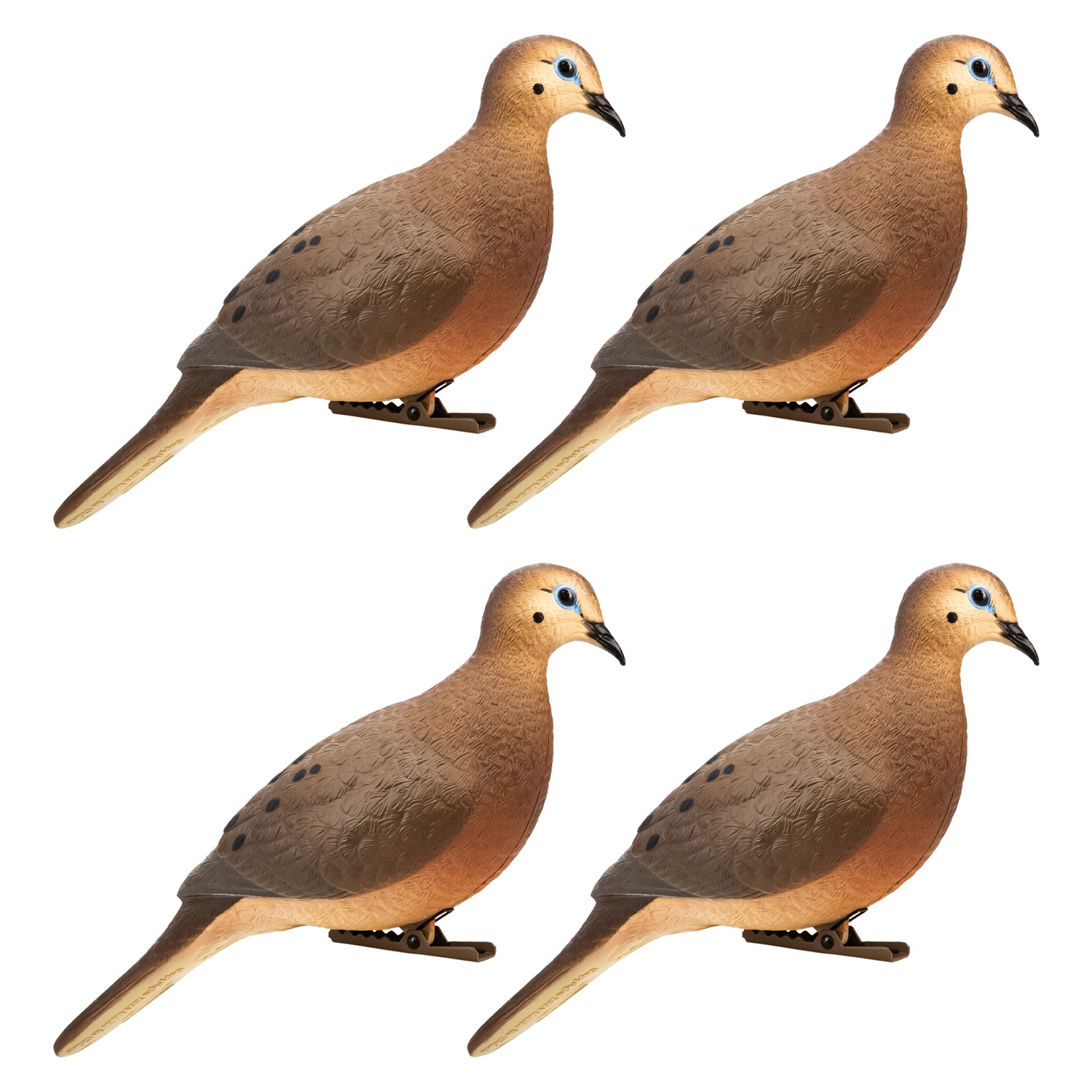 Four realistic mourning dove decoys with clips
