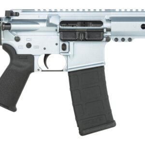 Modern semi-automatic rifle with adjustable brace