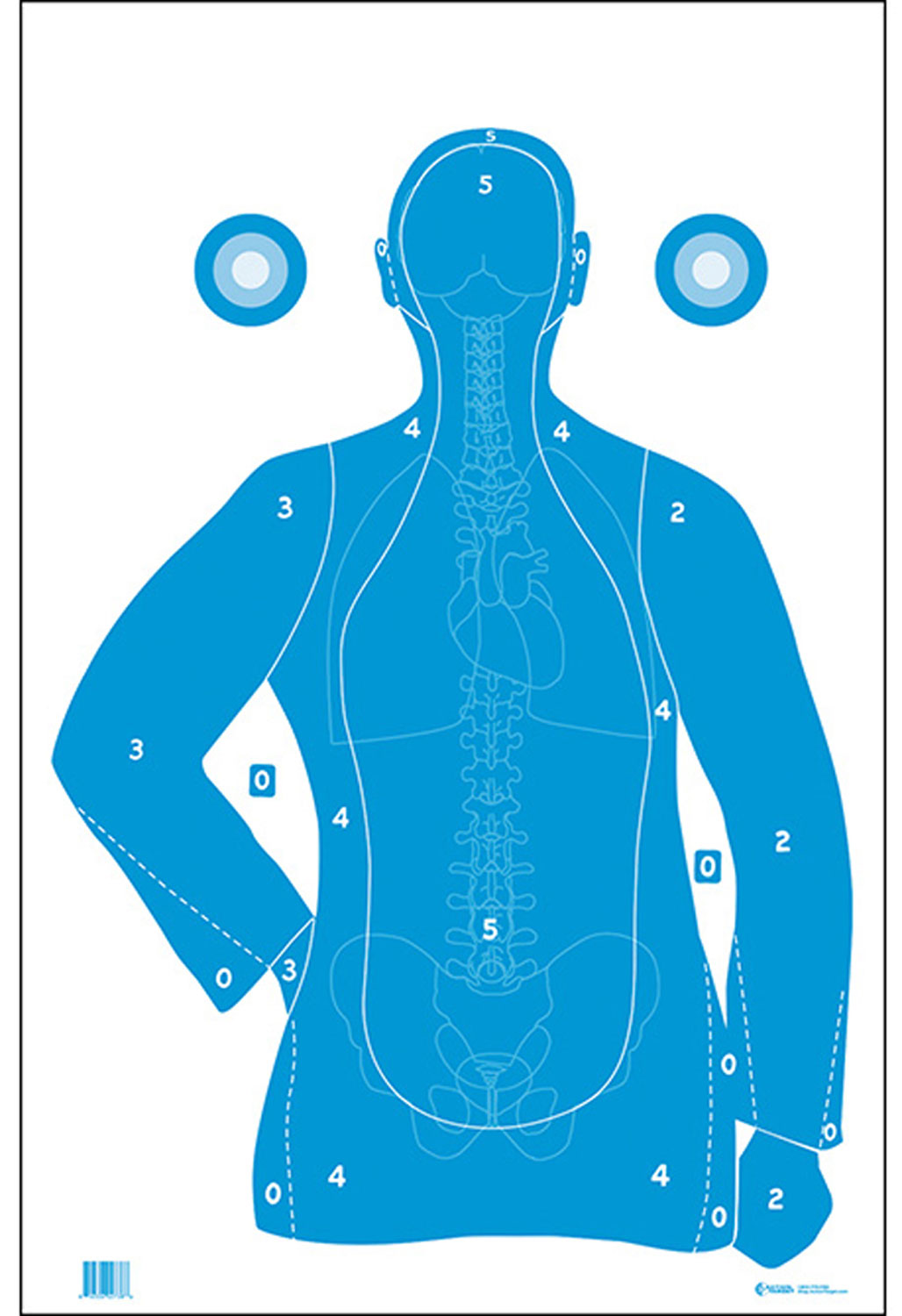 Anatomical back-view shooting target with scoring zones