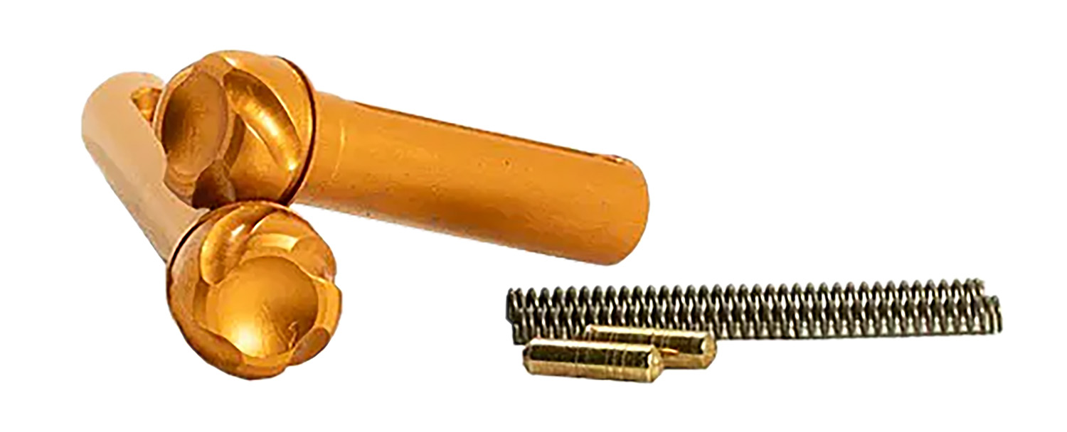 Acoustic guitar bridge pins with spring and insert