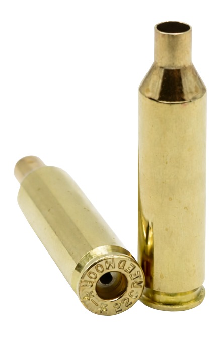Two brass rifle cartridges on white background