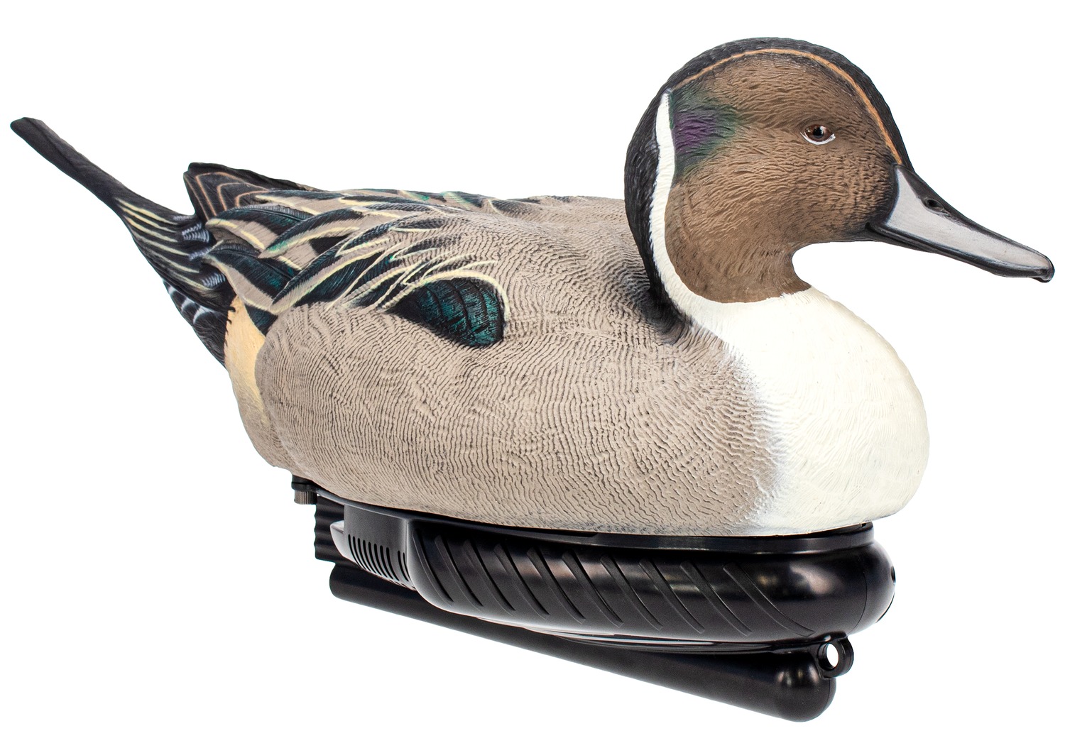 Realistic pintail duck decoy on motorized base