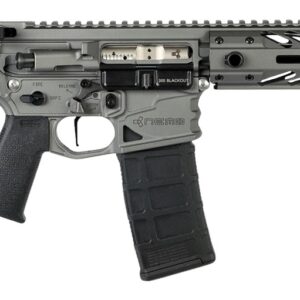 AR-style pistol with brace and magazine