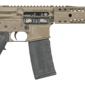 AR-style pistol with brace and magazine attached