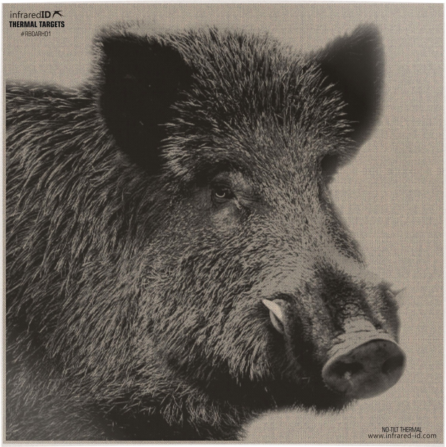 Close-up of wild boar thermal target print