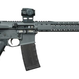 Modern semi-automatic rifle with optic sight attached