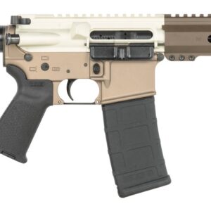 AR-style rifle with pistol brace and magazine