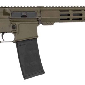 Modern semi-automatic rifle isolated on white background