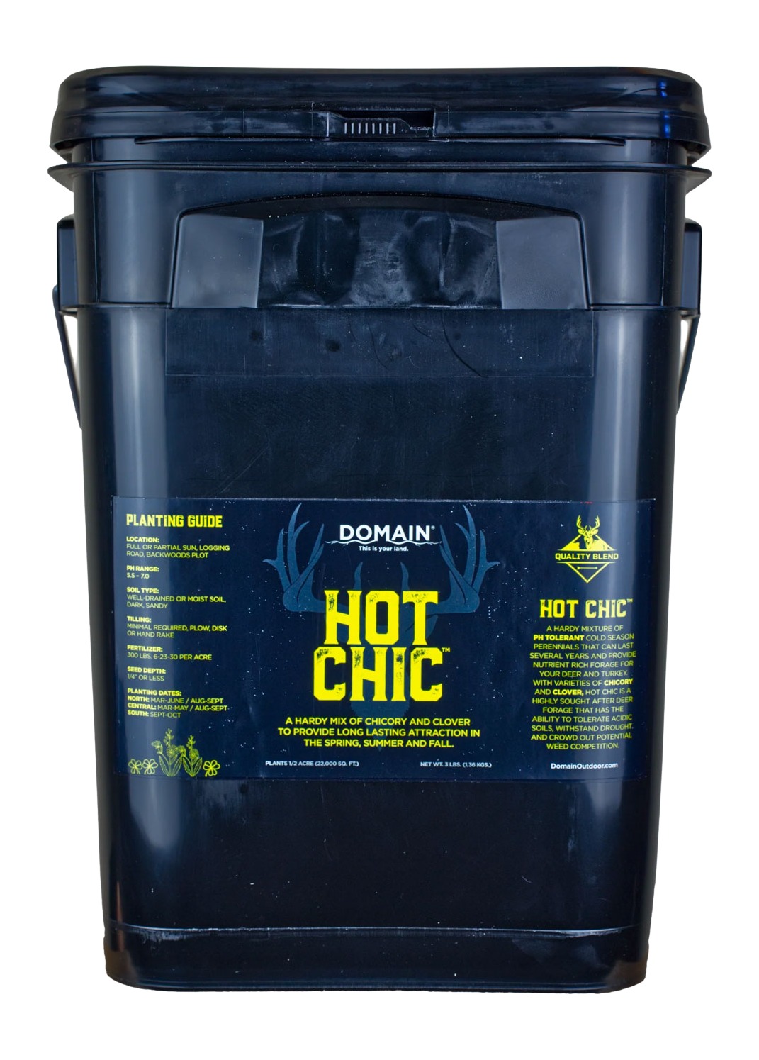 Domain Hot Chic chicory clover seed bucket