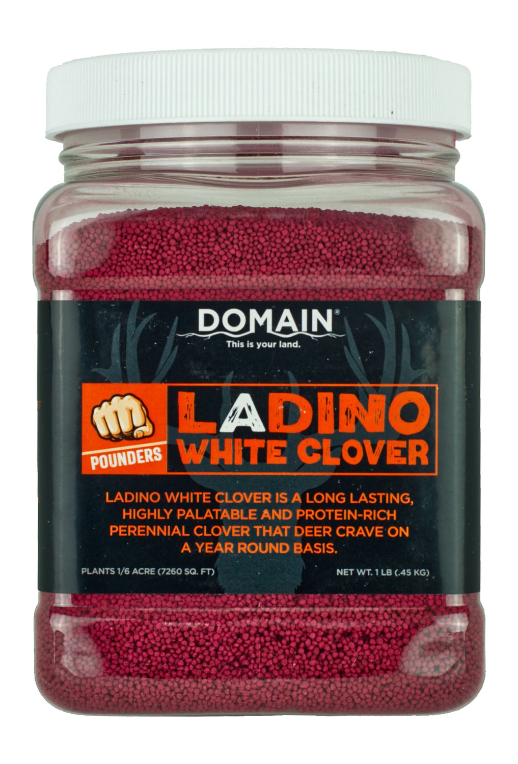 Jar of Ladino white clover seeds
