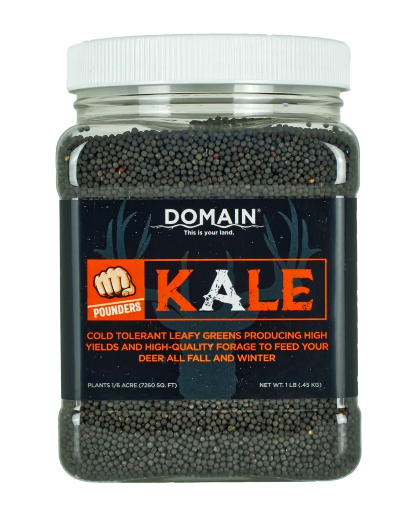 Jar of Domain Pounders kale seeds