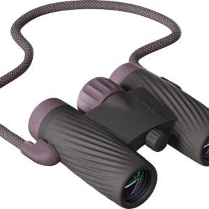 Compact gray binoculars with neck strap