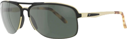 Black and gold sunglasses with green lenses