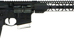Black AR-style rifle on white background