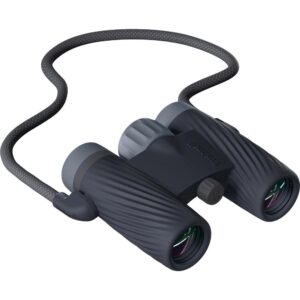 Compact dark gray binoculars with neck strap