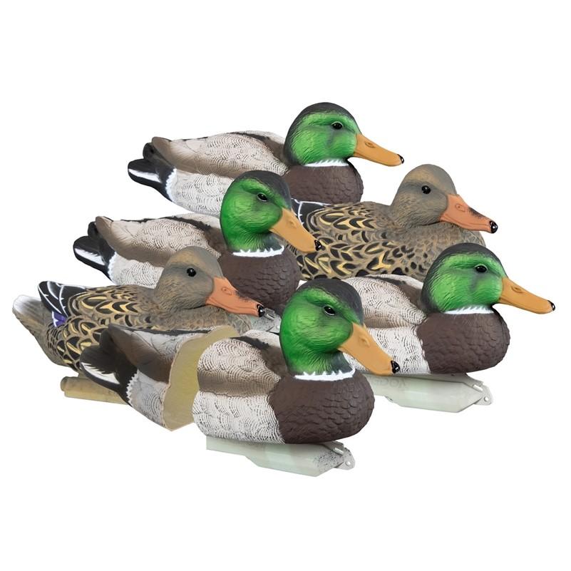 Six realistic mallard duck decoys on white background