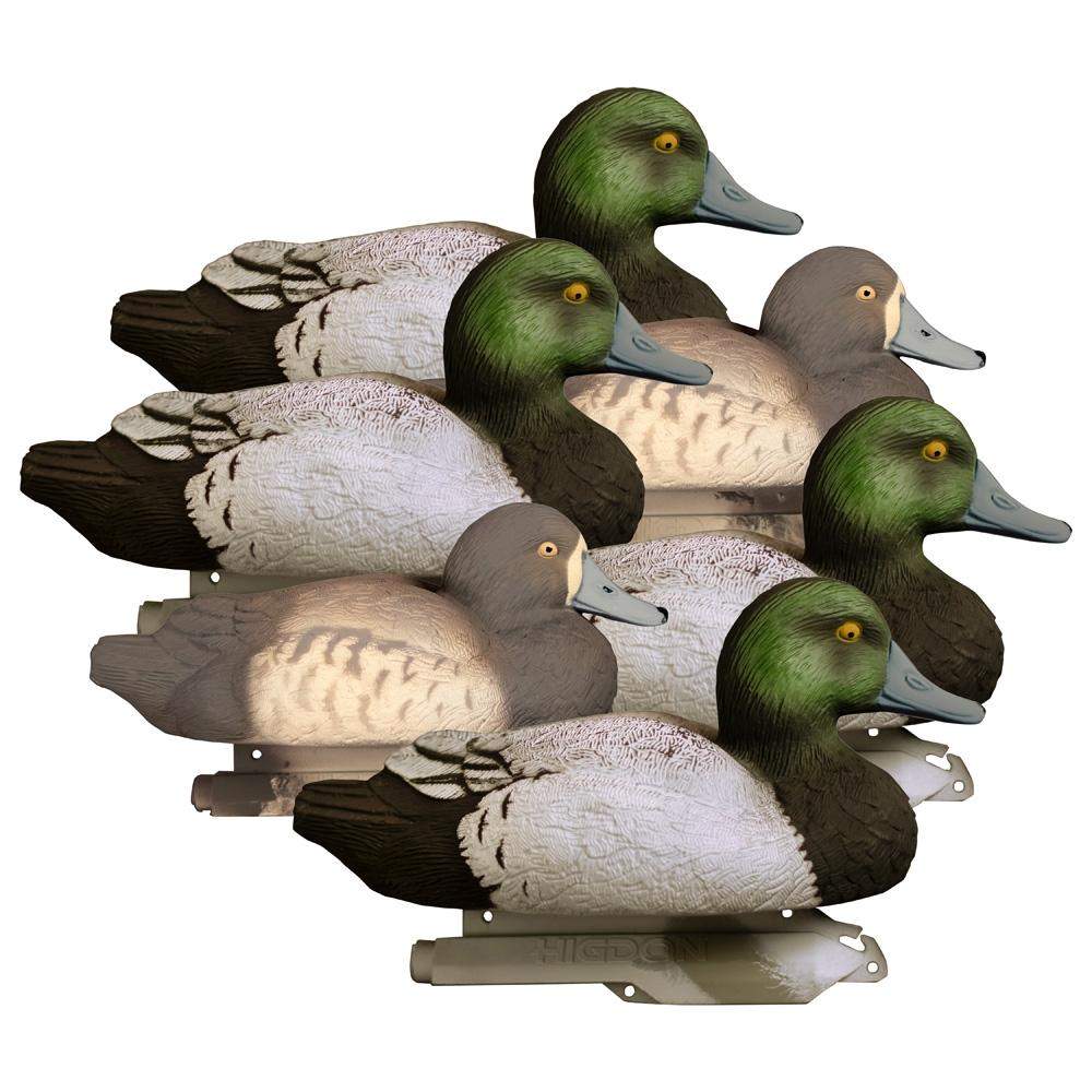 Six realistic duck decoys on white background