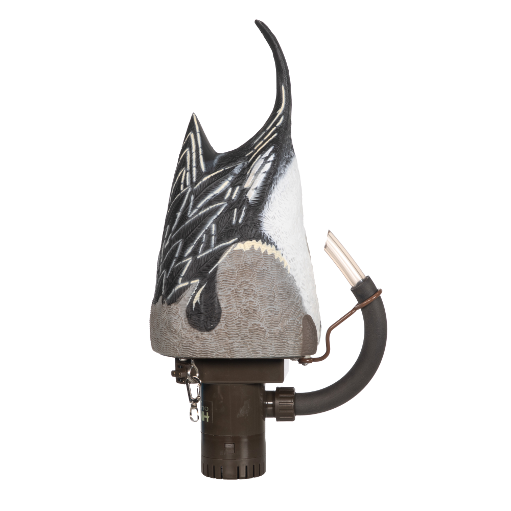 Penguin-shaped decorative outdoor light with attached bulb