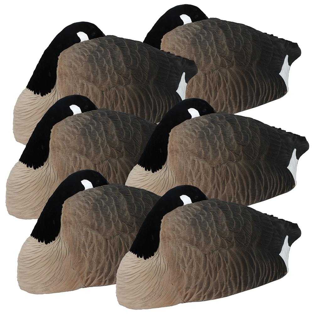 Six Canada goose decoys on white background