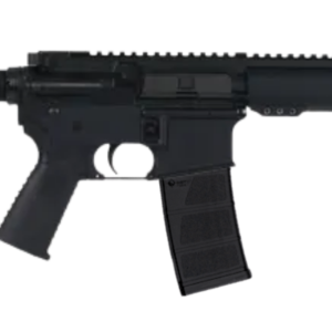Black semi-automatic rifle isolated on white background