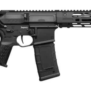 Black semi-automatic rifle with magazine and stock