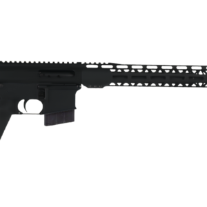Black AR-style semi-automatic rifle side view