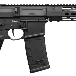 Black AR-style semi-automatic pistol with brace