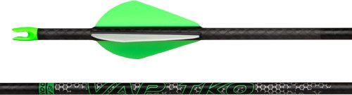 Carbon arrow with green fletching and nock