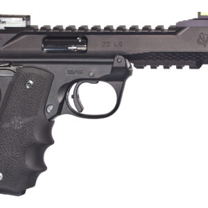 Black .22 caliber semi-automatic pistol on white background
