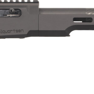 Modern semi-automatic rifle with adjustable stock