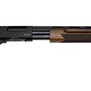 1030388 1.jpg