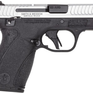 Smith & Wesson .380 semi-automatic handgun