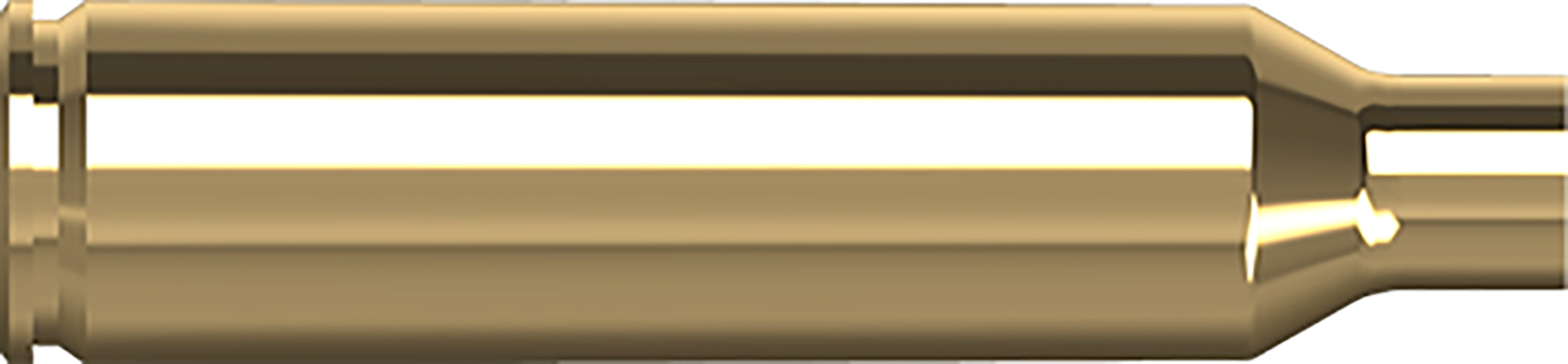 Close-up of brass rifle cartridge casing