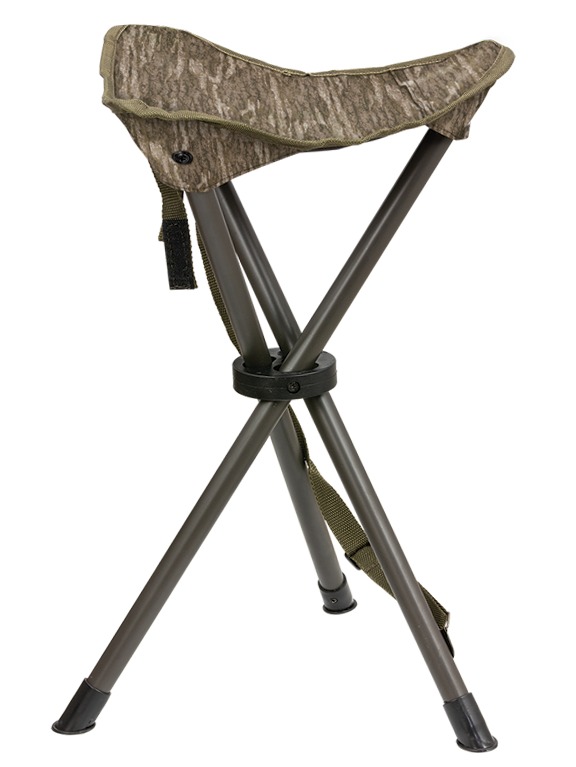 194544.jpg