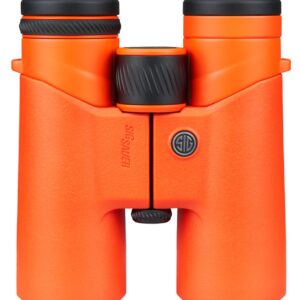 Bright orange SIG Sauer binoculars front view