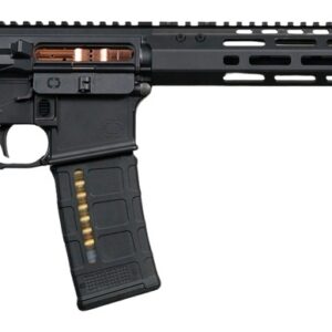 Black AR-15 style rifle on white background